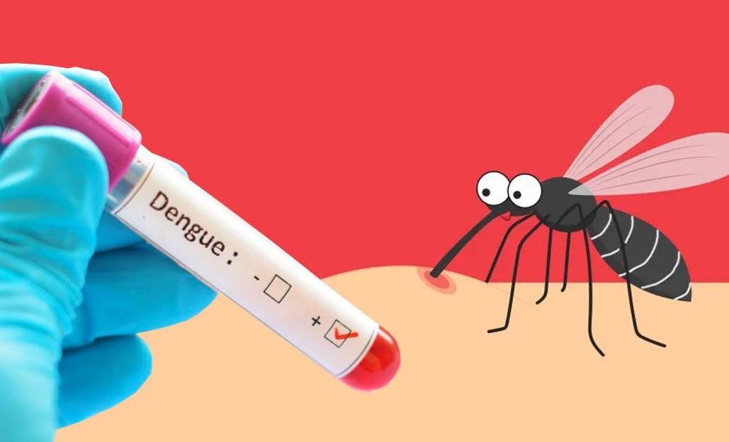 একদিনে ডেঙ্গুতে আরও ১ জনের মৃত্যু, হাসপাতালে ভর্তি ৩৯৪ জন